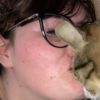 kittykatastrophy69 Meztelen