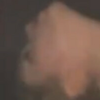 Taybisox Meztelen