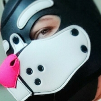 vixxypup Meztelen